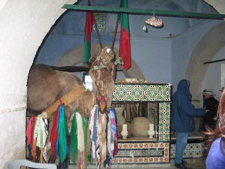 <신화를 만드는 낙타>